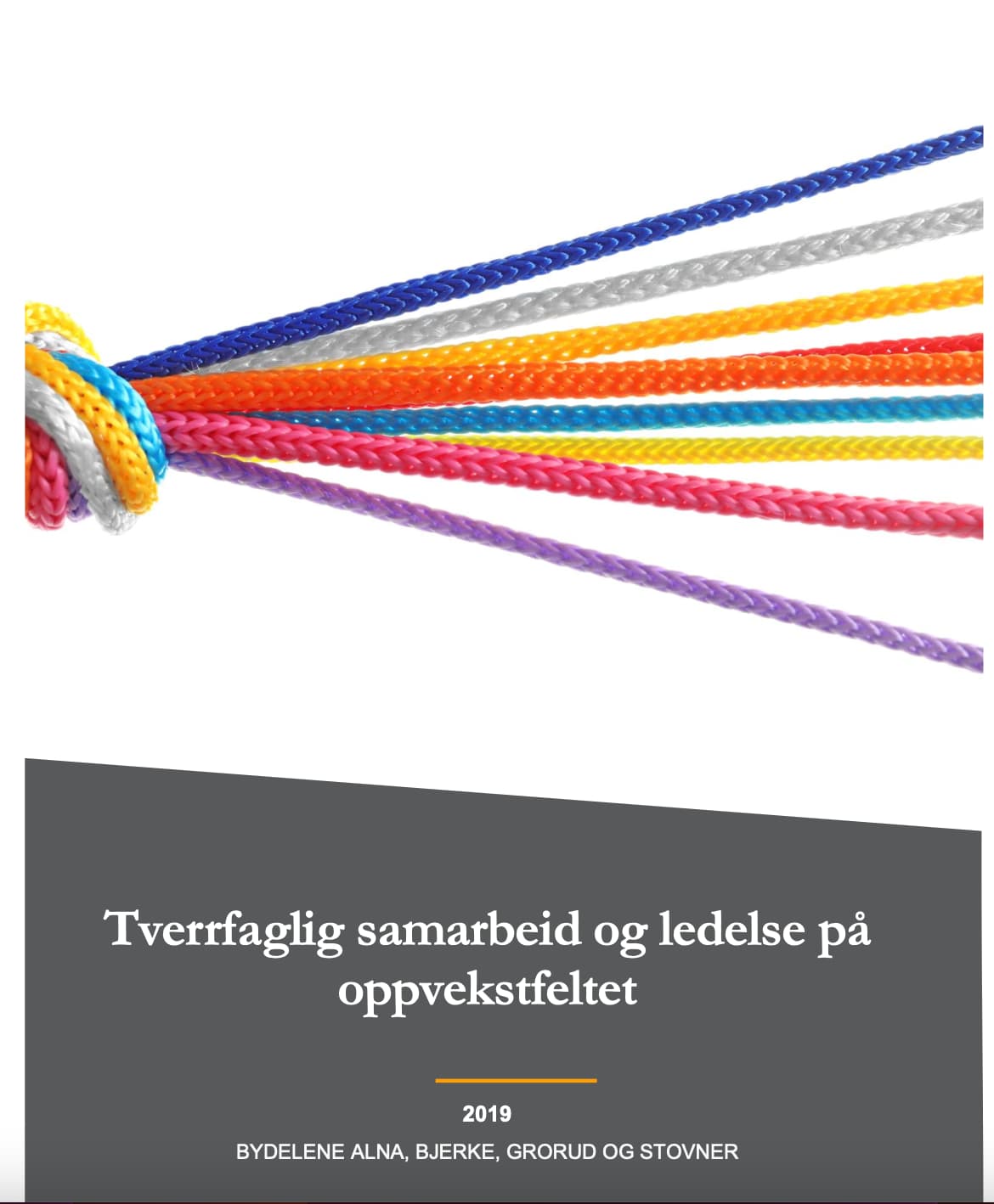 Tverrfaglig samarbeid og ledelse på oppvekstfeltet