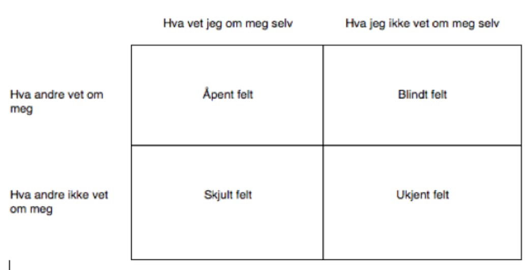Joharis vindu - et verktøy for kunnskapsdeling