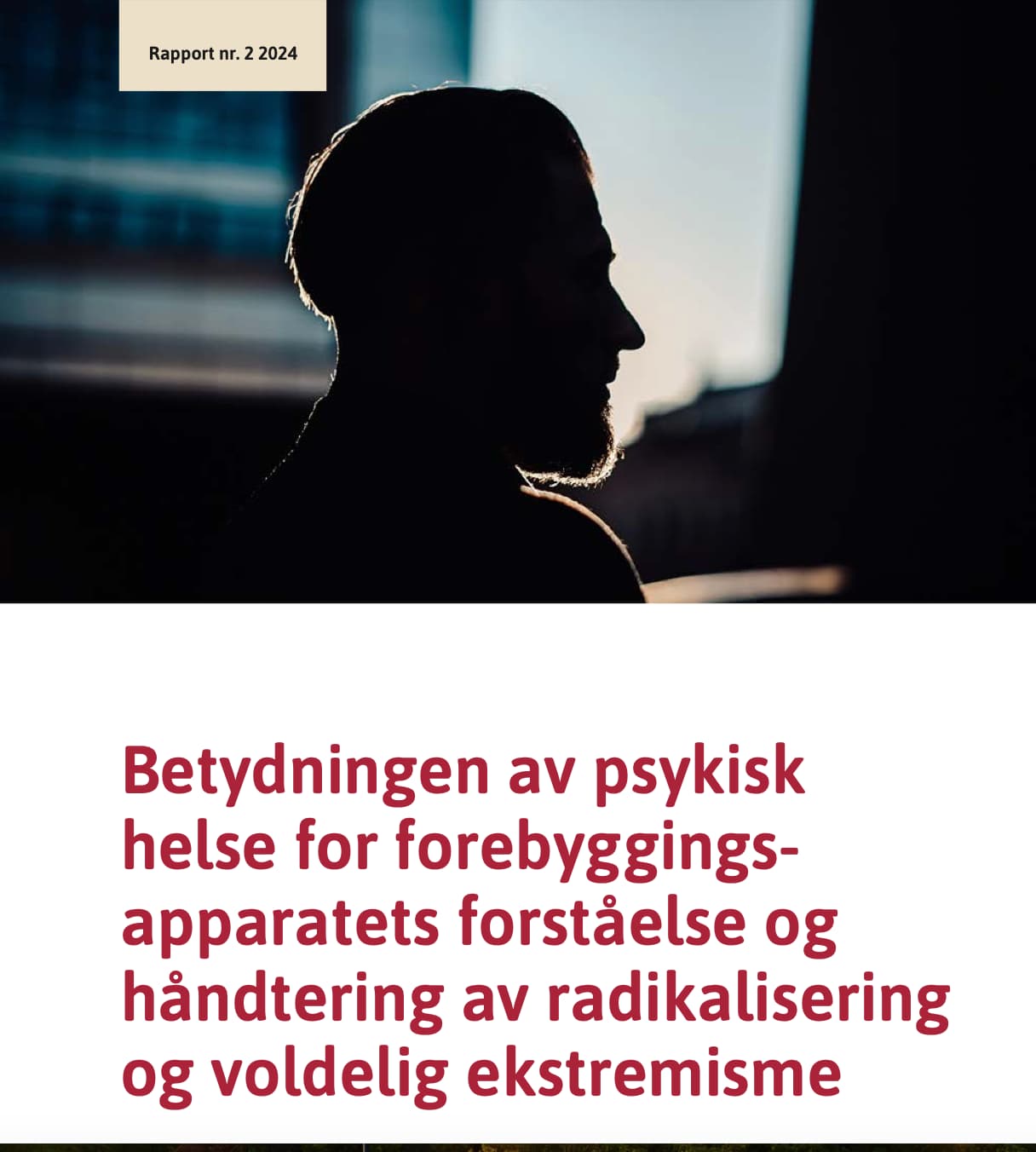 Om radikalisering