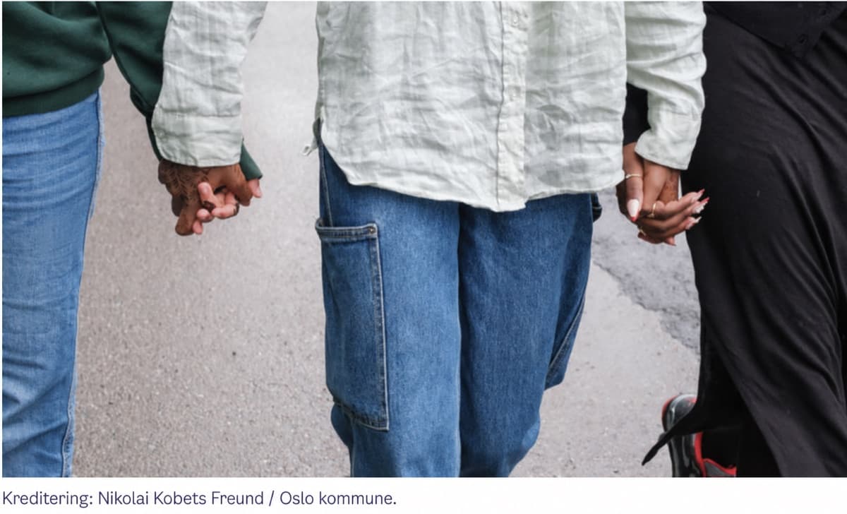 Illustrasjon til Grorudmodellen